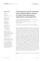 Chromosome-specific potential intron polymorphism markers for large-scale genotyping applications in pomegranate