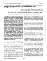 Peroxisomal import of human alanine:glyoxylate aminotransferase requires ancillary targeting information remote from its C terminus