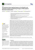 Tea-soybean intercropping improves tea quality and nutrition uptake by inducing changes of rhizosphere bacterial communities