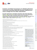 Evolution and global transmission of a multidrug-resistant, community-associated methicillin-resistant Staphylococcus aureus lineage from the Indian subcontinent