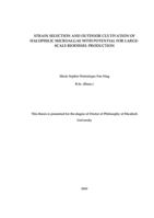 Strain selection and outdoor cultivation of halophilic microalgae with potential for large-scale biodiesel production
