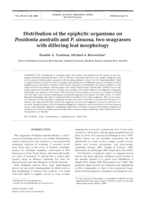 Distribution of the epiphytic organisms on Posidonia australis and P. sinuosa, two seagrasses with differing leaf morphology