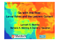 Go with the flow! Leeuwin Current ichthyoplankton