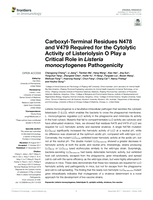 Carboxyl-terminal residues N478 and V479 required for the cytolytic activity of listeriolysin O play a critical role in Listeria monocytogenes pathogenicity