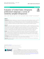 Evaluation of United States chiropractic professional subgroups: a survey of randomly sampled chiropractors