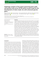 Haplotype analysis of key genes governing grain yield and quality traits across 3K RG panel reveals scope for the development of tailor‐made rice with enhanced genetic gains