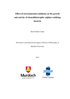 Effect of environmental conditions on the growth and activity of chemolithotrophic sulphur-oxidising bacteria