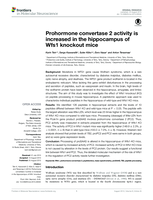 Prohormone convertase 2 activity is increased in the hippocampus of WFS1 knockout mice