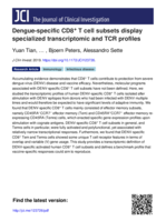 Dengue-specific CD8+ T cell subsets display specialized transcriptomic and TCR profiles