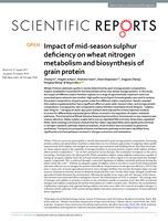 Impact of mid-season sulphur deficiency on wheat nitrogen metabolism and biosynthesis of grain protein