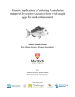 Genetic implications of culturing Australasian snapper (Chrysophyrs auratus) from wild-caught eggs for stock enhancement
