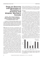 Dogs as sources and sentinels of parasites in humans and wildlife, northern Canada