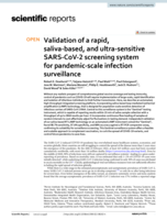 Validation of a rapid, saliva-based, and ultra-sensitive SARS-CoV-2 screening system for pandemic-scale infection surveillance