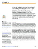 Cross-talk between human airway epithelial cells and 3T3-J2 feeder cells involves partial activation of human MET by murine HGF