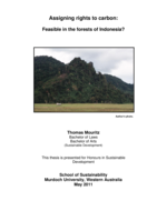 Assigning rights to carbon in Indonesia: Feasible in the forests of Indonesia?