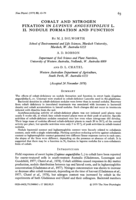 Cobalt and nitrogen fixation in Lupinus angustifolius L. II. nodule formation and function