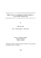 Effect of diet on the expression of swine dysentery in experimentally infected pigs