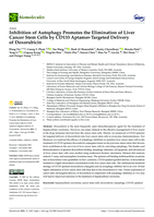 Inhibition of autophagy promotes the elimination of liver cancer stem cells by CD133 aptamer-targeted delivery of doxorubicin