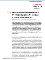 Parathyroid hormone receptor 1 (PTHR1) is a prognostic indicator in canine osteosarcoma