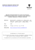 Genomic characterization of a novel virus found in papillomatous lesions from a southern brown bandicoot (Isoodon obesulus) in Western Australia