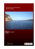 Fish fauna of the Donnelly River, Western Australia