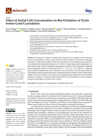 Effect of initial cell concentration on Bio-Oxidation of pyrite before gold cyanidation