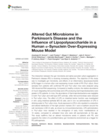 Altered gut microbiome in Parkinson’s disease and the influence of lipopolysaccharide in a human α-Synuclein over-expressing mouse model