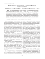 Hepatic intranuclear glycogen inclusions in western barred bandicoots (Perameles bougainville)