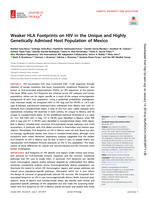 Weaker HLA footprints on HIV in the unique and highly genetically admixed host population of Mexico