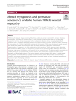 Altered myogenesis and premature senescence underlie human TRIM32-related myopathy