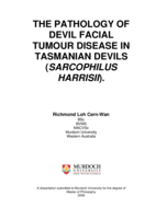 The pathology of devil facial tumour disease in Tasmanian devils (Sarcophilus harrisii)