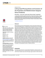 Linking seed photosynthesis and evolution of the Australian and Mediterranean seagrass genus Posidonia
