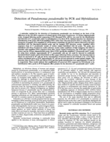Detection of Pseudomonas pseudomallei by PCR and hybridization