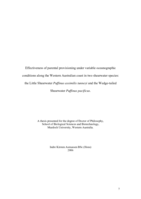 Effectiveness of parental provisioning under variable oceanographic conditions along the Western Australian coast in two shearwater species: the little shearwater Puffinus assimilis tunneyi and the wedge-tailed shearwater Puffinus pacificus