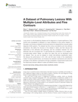 A dataset of pulmonary lesions with Multiple-Level attributes and fine contours