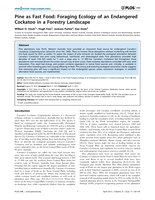Pine as fast food: Foraging ecology of an endangered cockatoo in a forestry landscape