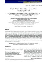 Mesothelial cell differentiation into osteoblast- and adipocyte-like cells