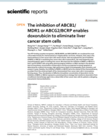 The inhibition of ABCB1/MDR1 or ABCG2/BCRP enables doxorubicin to eliminate liver cancer stem cells