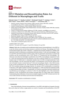 HIV-1 Mutation and recombination rates are different in Macrophages and T-cells