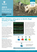 DNA detectives: using genes to identify illegal dumping of wild pigs