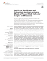 Nutritional significance and Antioxidant-Mediated antiaging effects of Finger Millet: Molecular insights and prospects