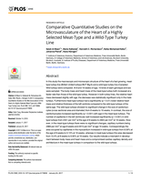 Comparative quantitative studies on the microvasculature of the heart of a highly selected meat-type and a wild-type Turkey line