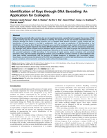 Identification of Rays through DNA Barcoding: An Application for Ecologists