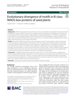 Evolutionary divergence of motifs in B-class MADS-box proteins of seed plants
