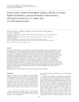 Vision in the southern hemisphere lamprey Mordacia mordax: Spatial distribution, spectral absorption characteristics, and optical sensitivity of a single class of retinal photoreceptor