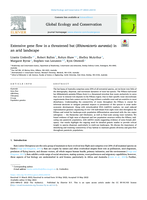 Extensive gene flow in a threatened bat (Rhinonicteris aurantia) in an arid landscape
