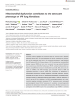 Mitochondrial dysfunction contributes to the senescent phenotype of IPF lung fibroblasts