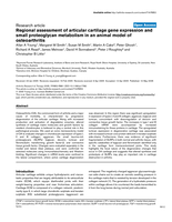 Regional assessment of articular cartilage gene expression and small proteoglycan metabolism in an animal model of osteoarthritis