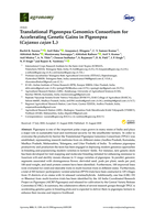 Translational Pigeonpea genomics consortium for accelerating genetic gains in Pigeonpea (Cajanus cajan L.)