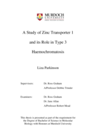 A study of zinc transporter 1 and its role in Type 3 Haemochromatosis